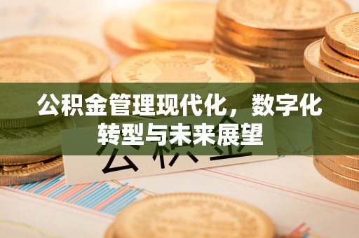 霍州公积金管理现代化，数字化转型与未来展望