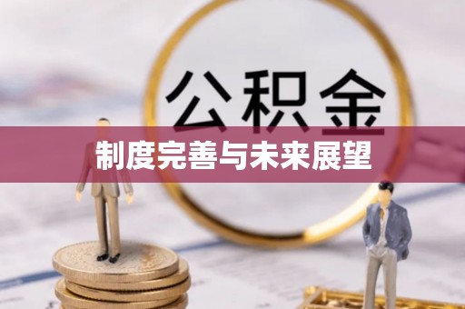 霍州制度完善与未来展望