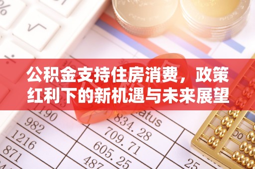 霍州公积金支持住房消费，政策红利下的新机遇与未来展望