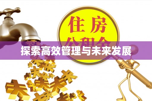 霍州探索高效管理与未来发展