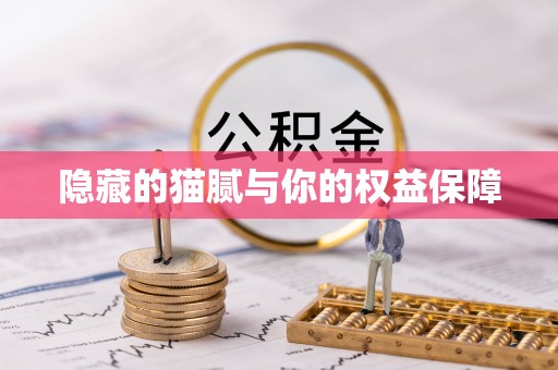 霍州隐藏的猫腻与你的权益保障