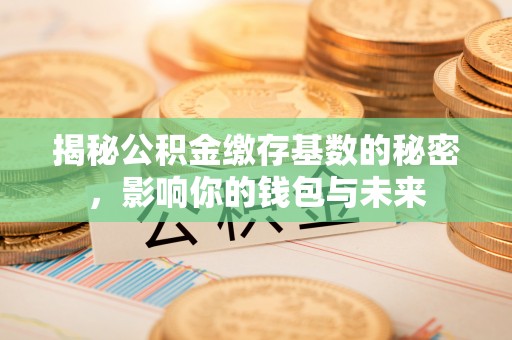 霍州揭秘公积金缴存基数的秘密，影响你的钱包与未来