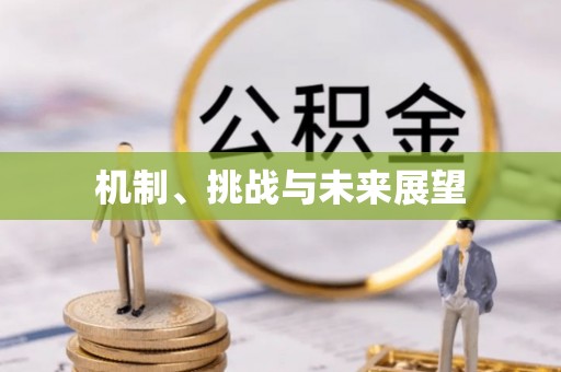 霍州机制、挑战与未来展望