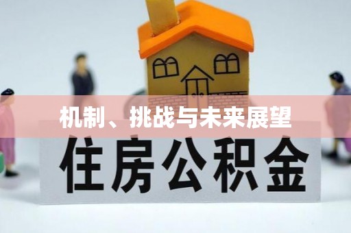 霍州机制、挑战与未来展望